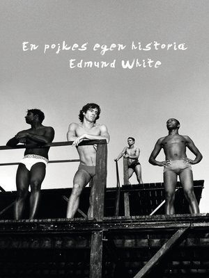 cover image of En pojkes egen historia